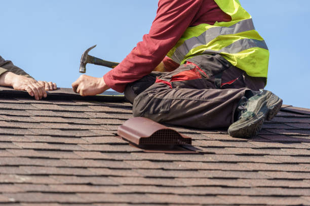 Best New Roof Installation  in Lan, MI