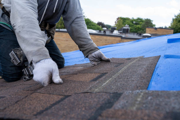 Best Best Roofing Contractors  in Lan, MI