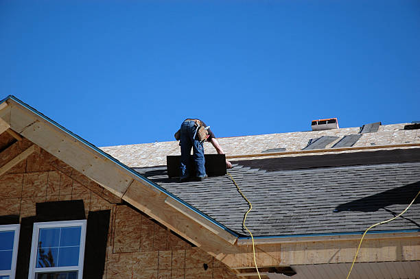 Best Roof Restoration Services  in Lan, MI