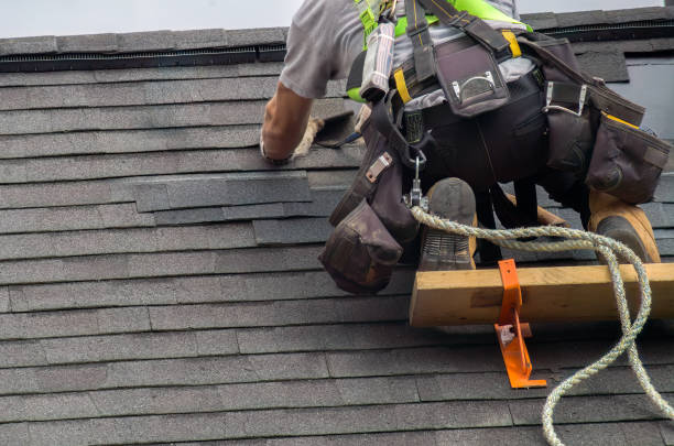 Best Storm Damage Roof Repair  in Lan, MI