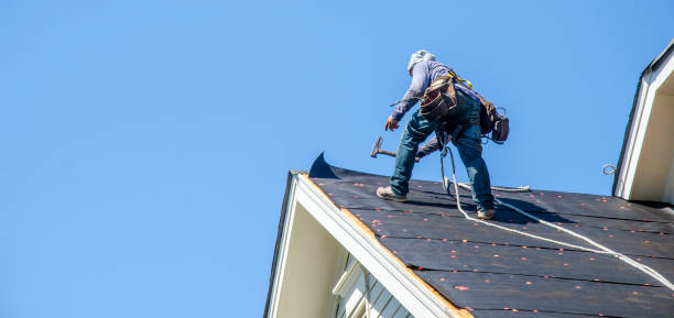 Best Roof Maintenance Services  in Lan, MI
